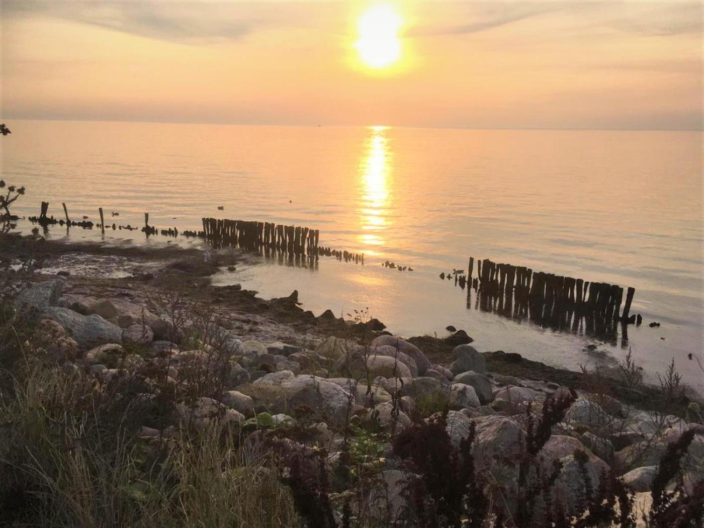 Dahmer Strand 18 Muschelhus 外观 照片